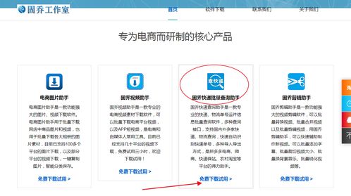 教你批量查詢快遞物流信息，一眼發現異常件——信息技術咨詢服務指南