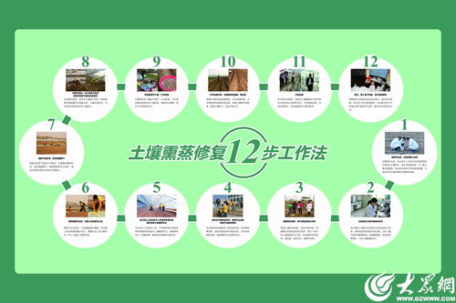 濰坊模式顯成效 全國首個生姜土壤熏蒸服務規范出爐，信息技術賦能農業新篇章